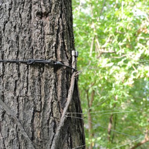 7_ELB 1.4.1Anbringung Baum1
